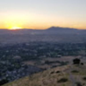 Meet your Posher, Wesley